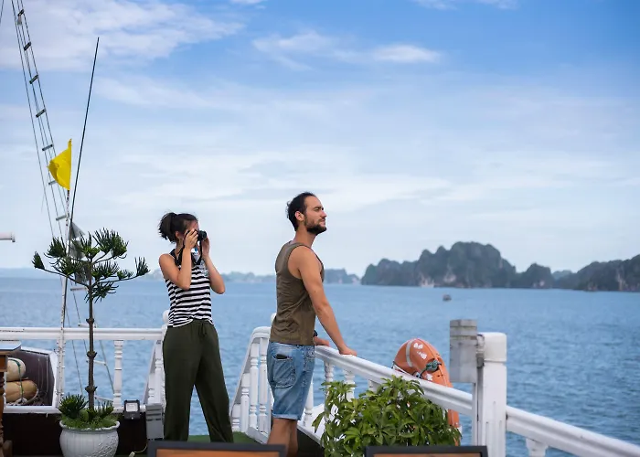 Swan Cruises - Off-the-beaten-path Route  4*