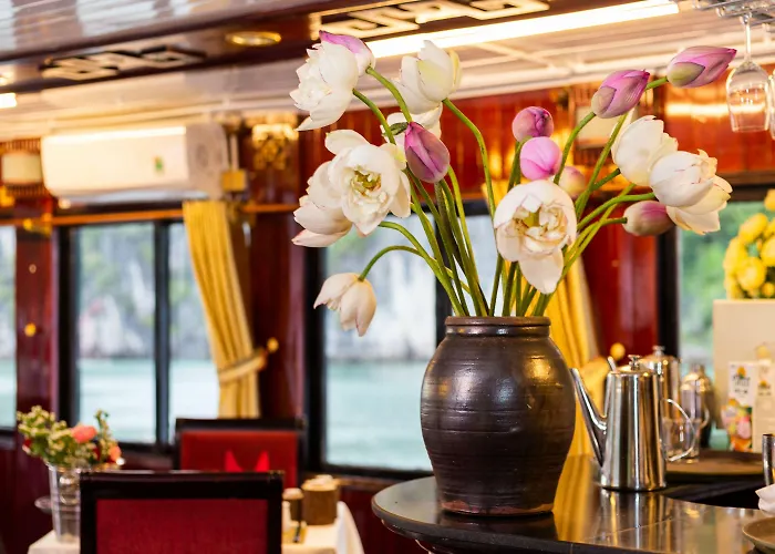  Swan Cruises - Off-the-beaten-path Route