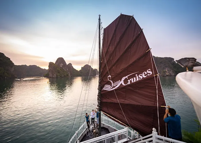 Swan Cruises - Off-the-beaten-path Route  4*