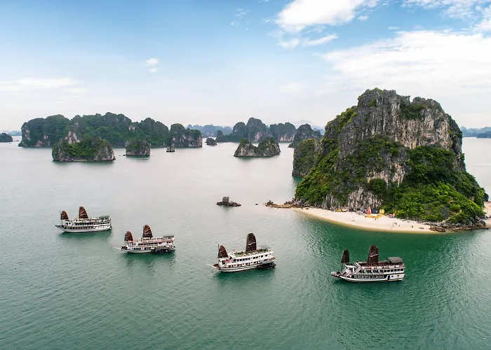 Swan Cruises - Off-the-beaten-path Route 4*