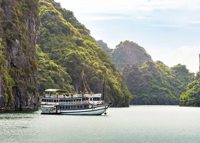 Swan Cruises - Off-the-beaten-path Route  4*